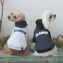 2025秋冬 XLARGE（エクストララージ）ツートーンフーディー - サムネイル1