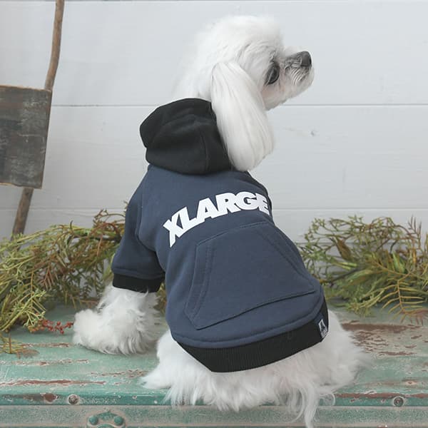 2025秋冬 XLARGE（エクストララージ）ツートーンフーディー - 2