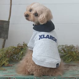 2025秋冬 XLARGE（エクストララージ）ツートーンフーディー - サムネイル3