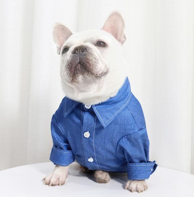 ブルドッグ専用ベスト