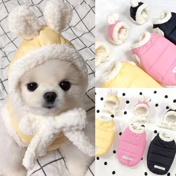 ニットパターンウェア